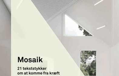 Mosaik - 21 tekststykker om at komme fra kræft til kræfter