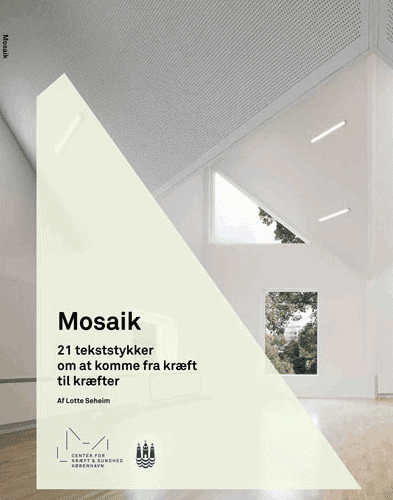 Mosaik - 21 tekststykker om at komme fra kræft til kræfter