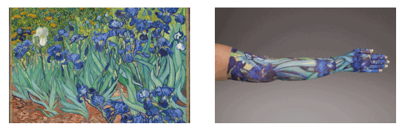 Irises af Van Gogh er et af flere kunst og kompressionsærmer