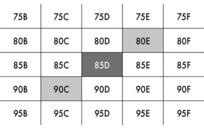 Cross Sizing betyder at krydse størrelse, når du skal finde den helt rigtige BH